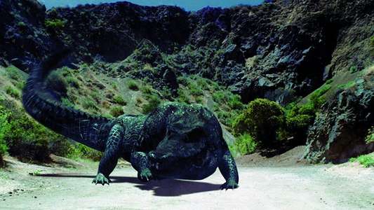 Mega Python vs. Gatoroid - Backdrop
