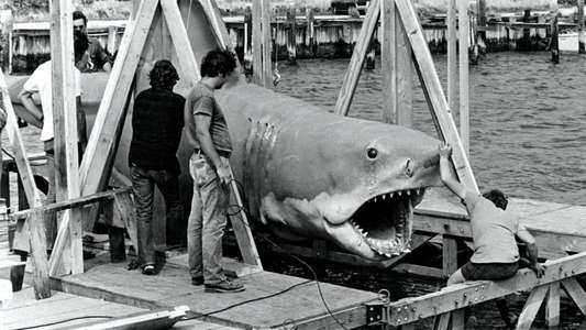The Shark Is Still Working - Backdrop