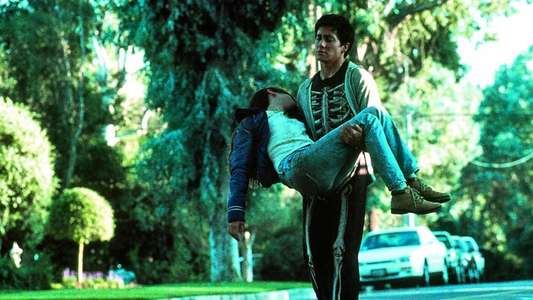 Donnie Darko - Backdrop