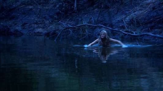 Boggy Creek - Backdrop