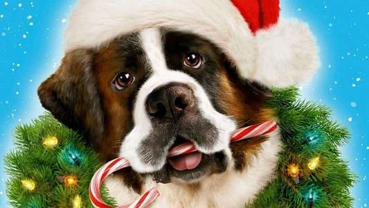 Beethoven's Christmas Adventure - Backdrop