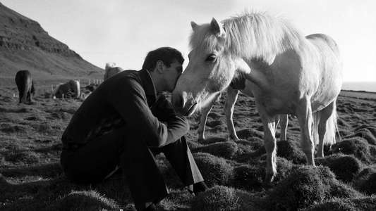 Bobby Fischer Against the World - Backdrop