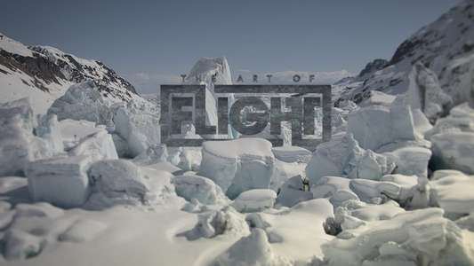 The Art of Flight - Backdrop