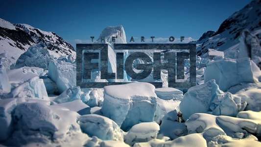 The Art of Flight - Backdrop