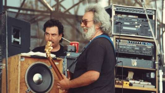 Grateful Dead - View from the Vault II - Backdrop
