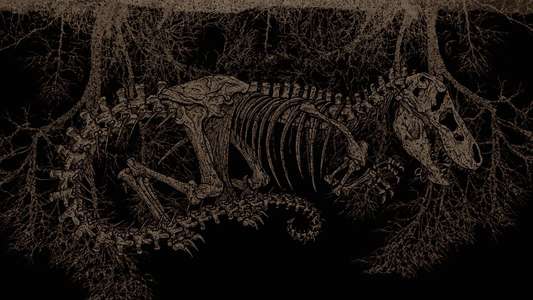 Tyrannosaur - Backdrop