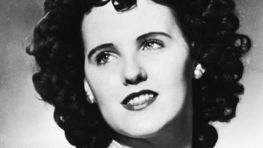 Black Dahlia - Backdrop