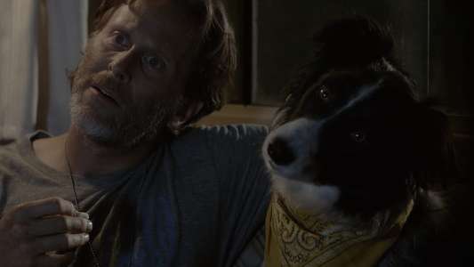A Dog Named Duke - Backdrop