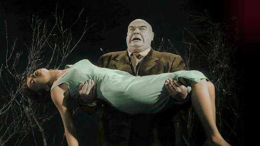 Flying Saucers Over Hollywood: The 'Plan 9' Companion - Backdrop