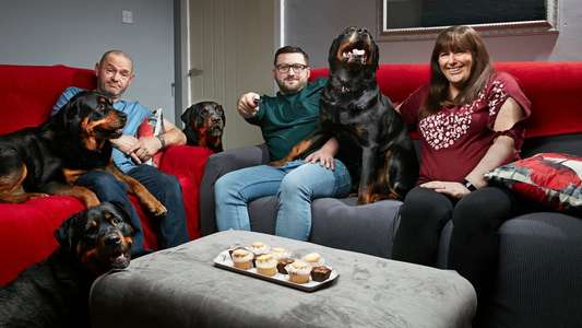 Gogglebox - Backdrops