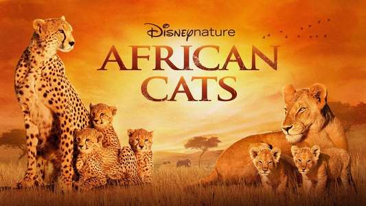 African Cats - Backdrops