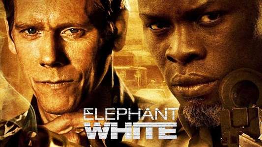 Elephant White - Backdrop