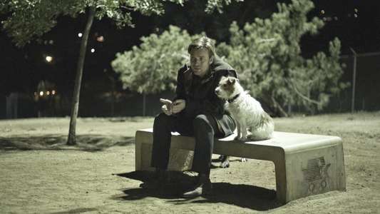 Beginners - Backdrop