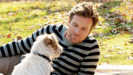 Beginners - Backdrop