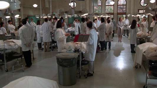 Gross Anatomy - Backdrop
