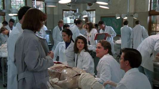 Gross Anatomy - Backdrop