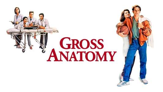 Gross Anatomy - Backdrop