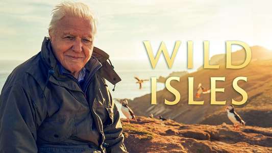 Wild Isles - Backdrops