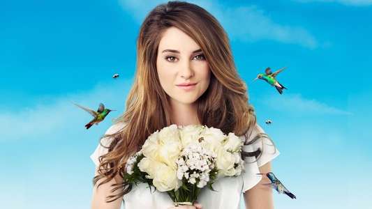 The Secret Life of the American Teenager - Backdrop