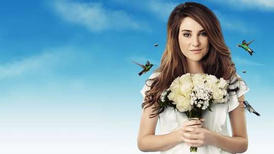 The Secret Life of the American Teenager - Backdrop