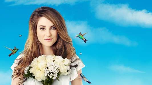 The Secret Life of the American Teenager - Backdrop