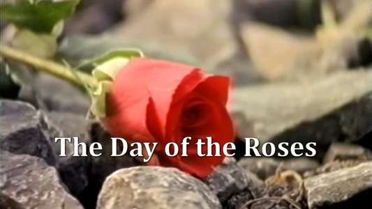 The Day of the Roses - Backdrop