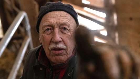The Incredible Dr. Pol - Backdrops