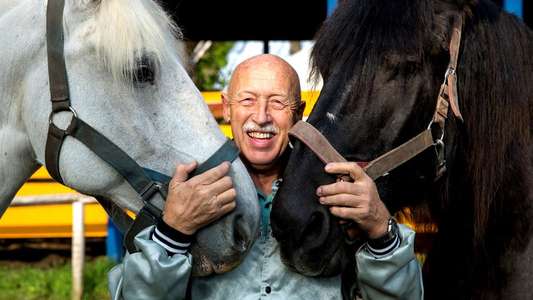 The Incredible Dr. Pol - Backdrops