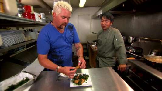 Diners  Drive-Ins and Dives - Backdrops