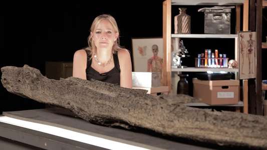 Digging for Britain - Backdrops