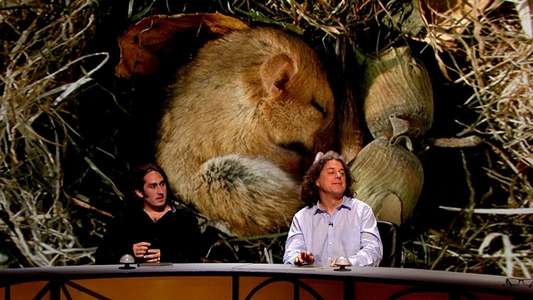 QI - Backdrop