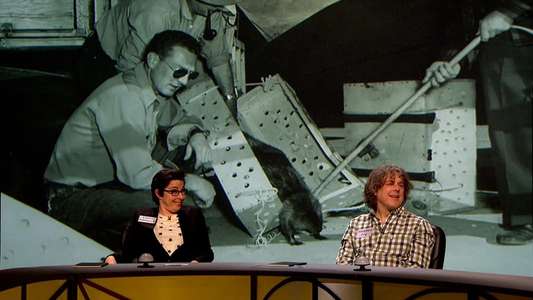 QI - Backdrop