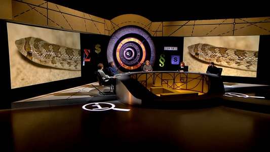 QI - Backdrop