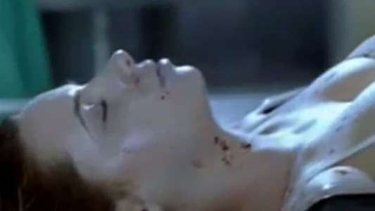 Silent Witness - Backdrop