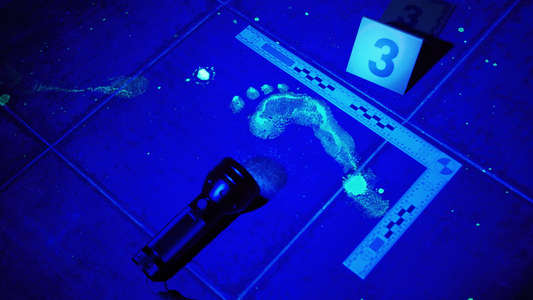 Forensic Files - Backdrop