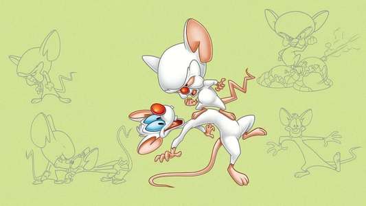 Pinky and the Brain - Backdrop