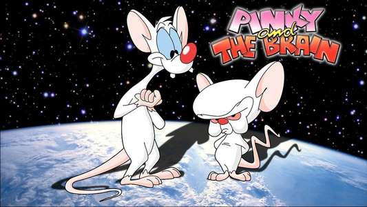 Pinky and the Brain - Backdrop