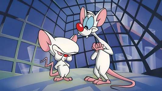 Pinky and the Brain - Backdrop