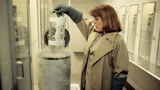 The X-Files - Backdrops