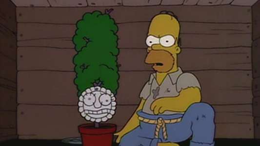 The Simpsons - Backdrops