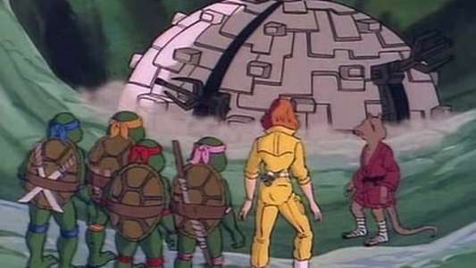 Teenage Mutant Ninja Turtles - Backdrops