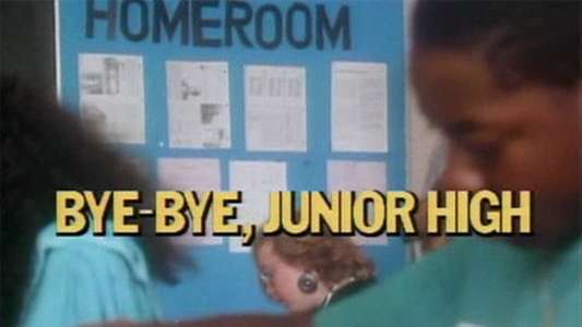 Degrassi Junior High - Backdrop