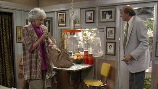The Golden Girls - Backdrop