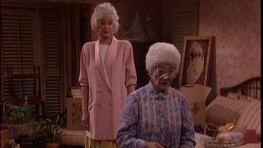The Golden Girls - Backdrop