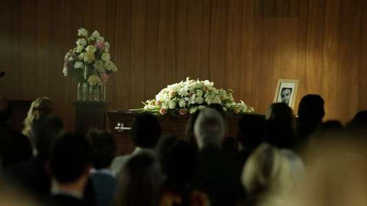 Offspring - Backdrop