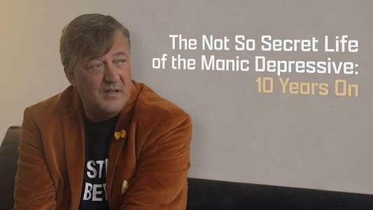 The Not So Secret Life of the Manic Depressive: 10 Years On - Backdrop