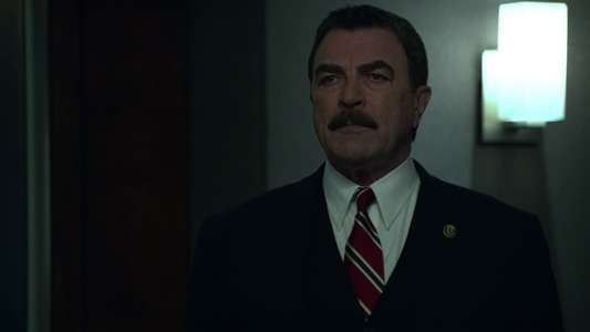 Blue Bloods - Backdrops