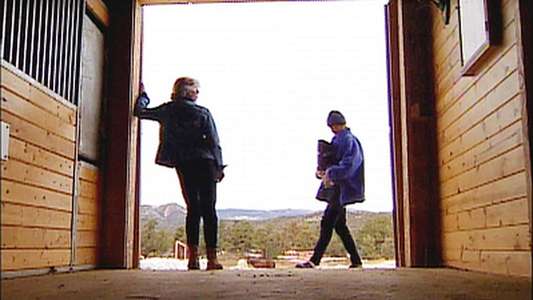 Survivor - Backdrops