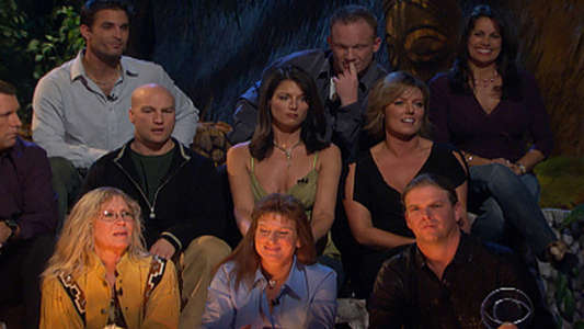 Survivor - Backdrops
