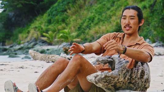 Survivor - Backdrops